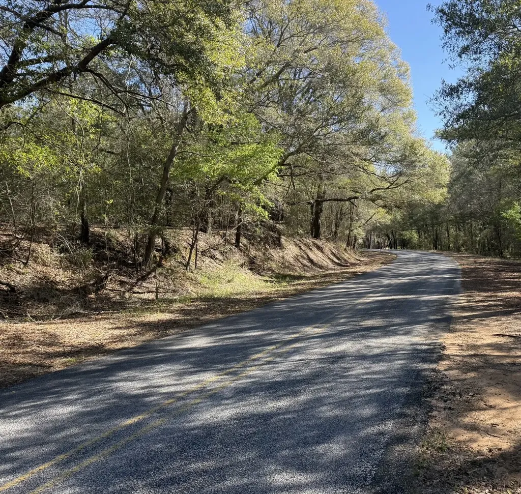 0 County Road 3 Headland AL 36345