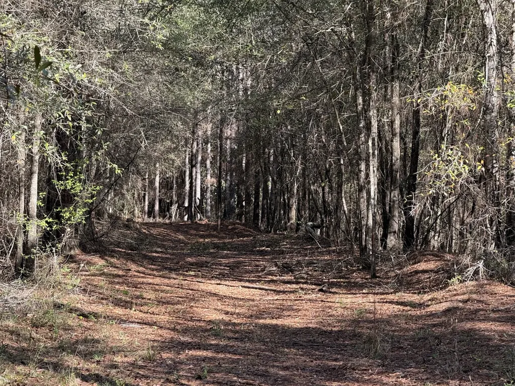 0 County Road 3 Headland AL 36345