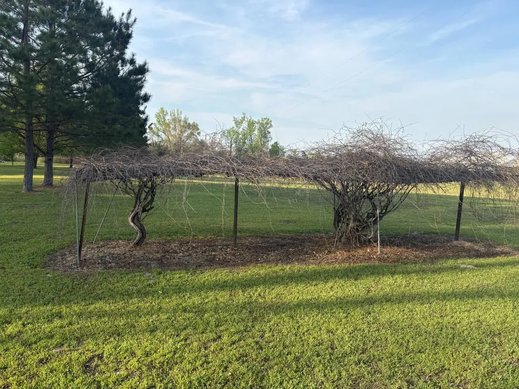 3988 Barrytown Road Gilbertown AL 36908