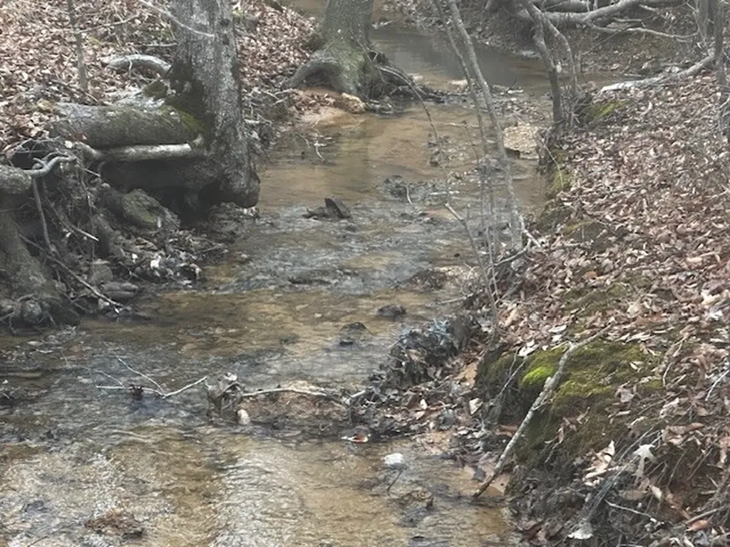 Coker Spur Road Red Bay AL 35582