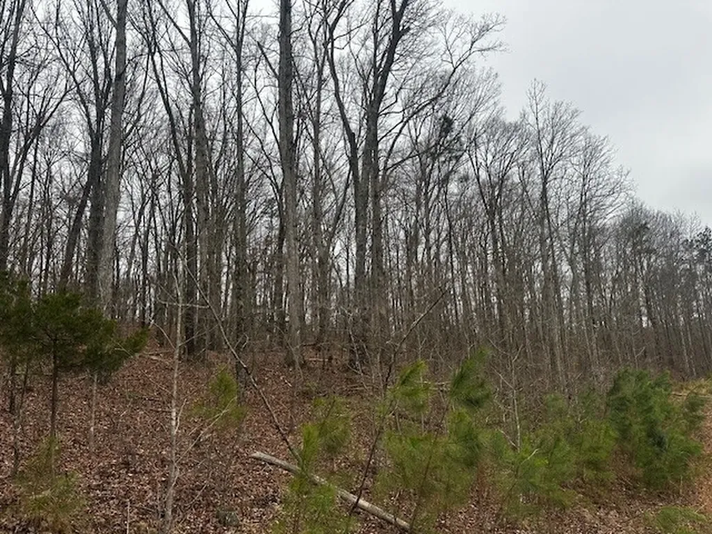 Coker Spur Road Red Bay AL 35582