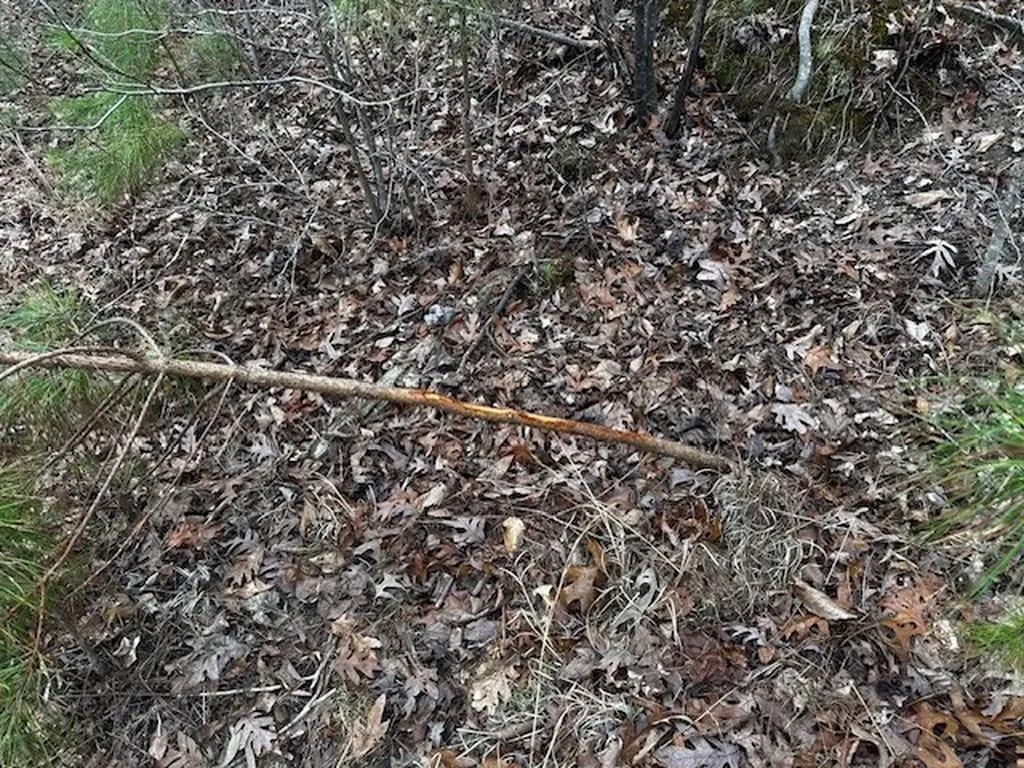 Coker Spur Road Red Bay AL 35582