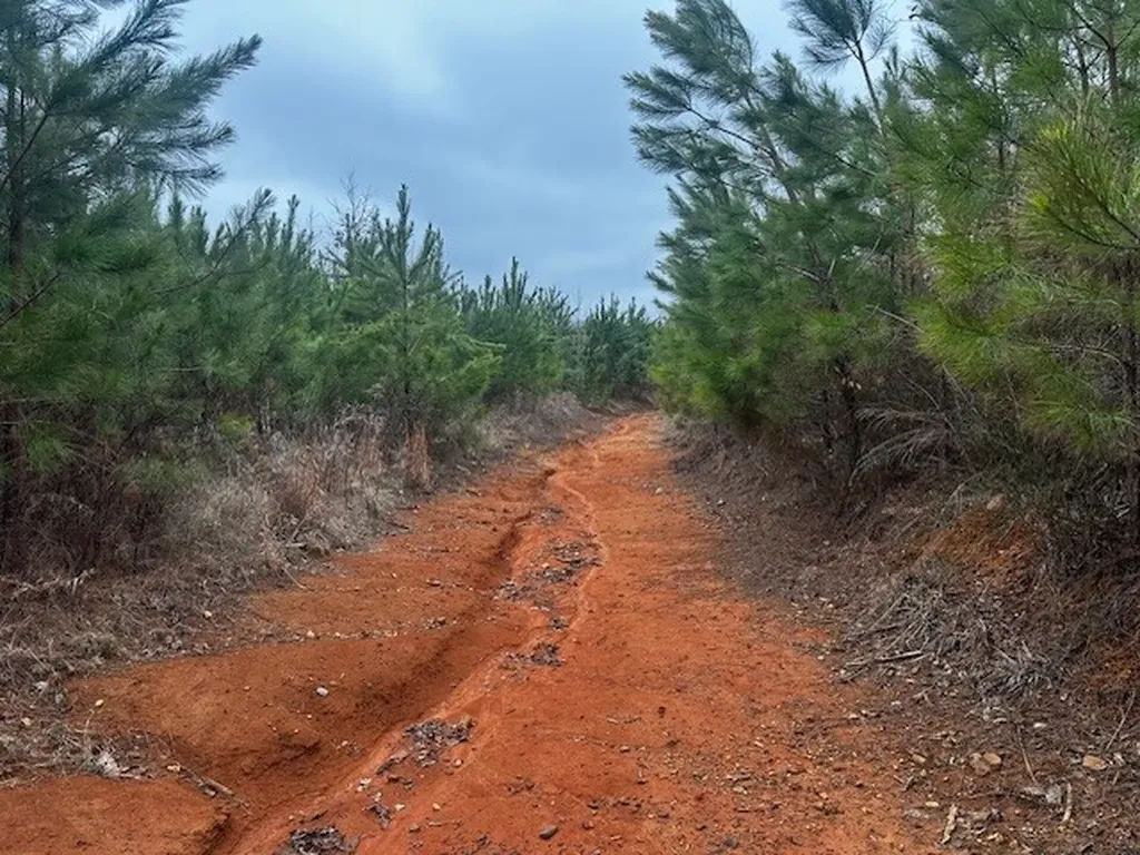 Coker Spur Road Red Bay AL 35582