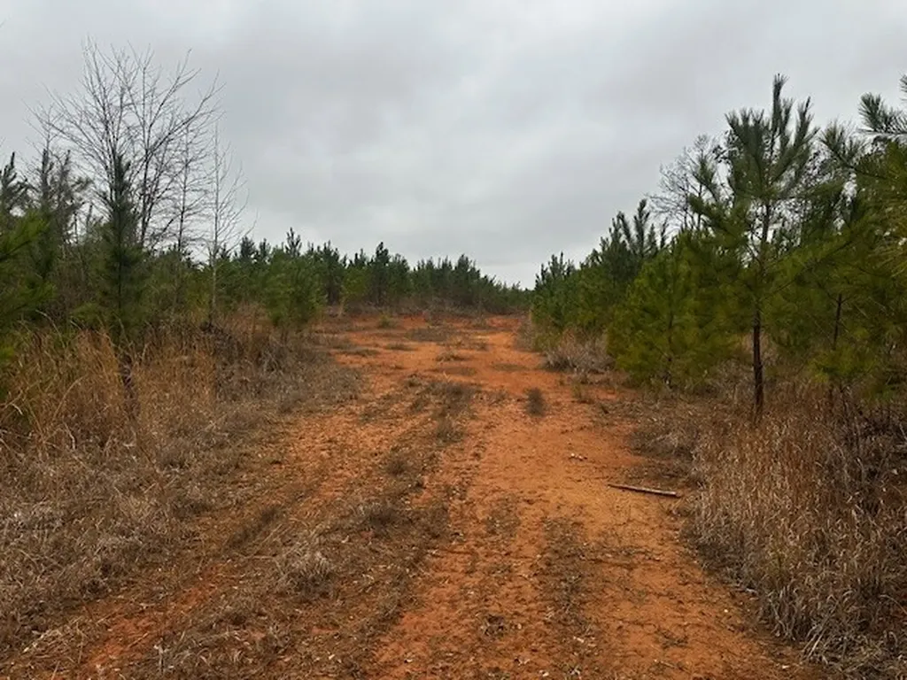 Coker Spur Road Red Bay AL 35582