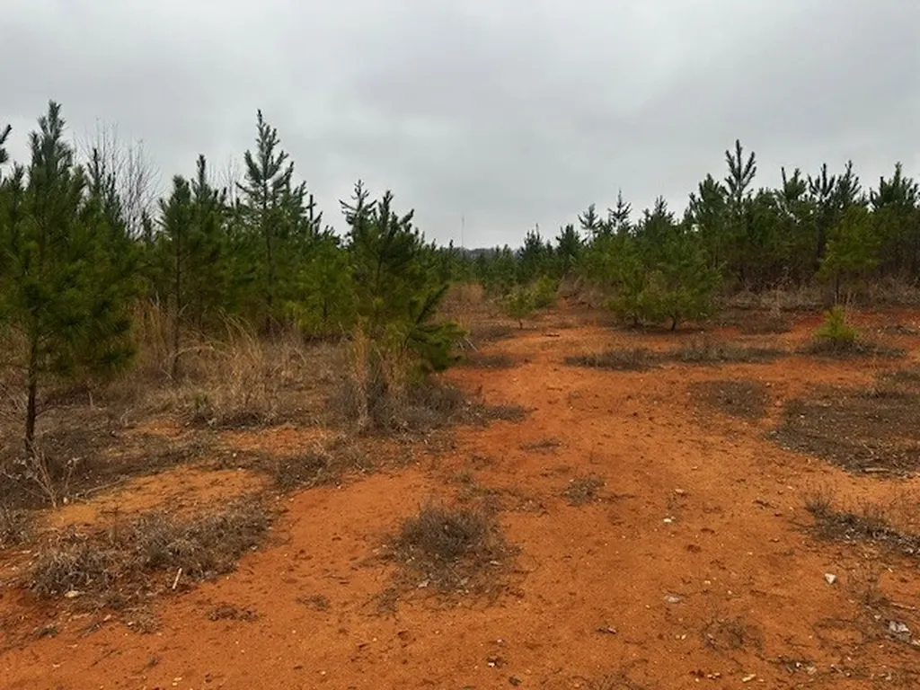 Coker Spur Road Red Bay AL 35582