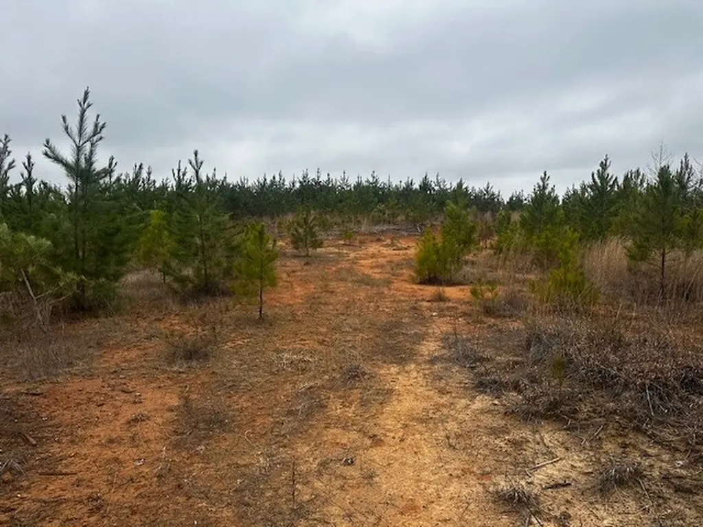 Coker Spur Road Red Bay AL 35582