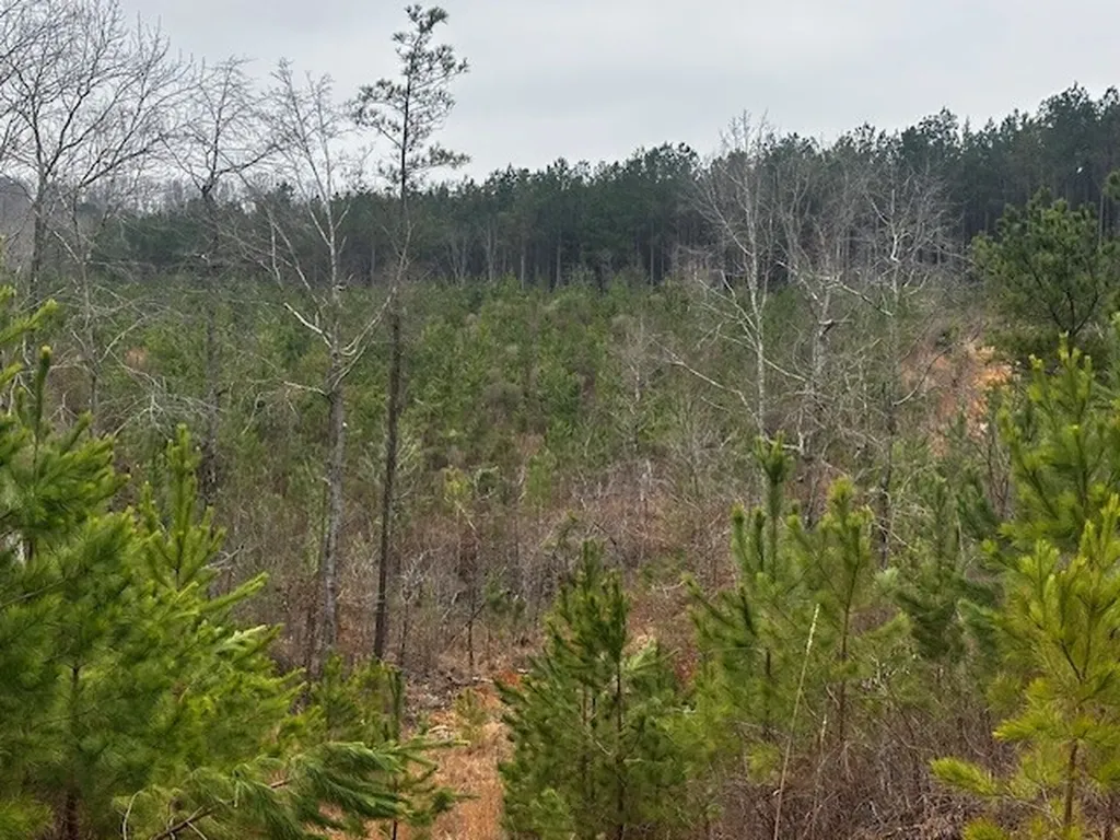 Coker Spur Road Red Bay AL 35582