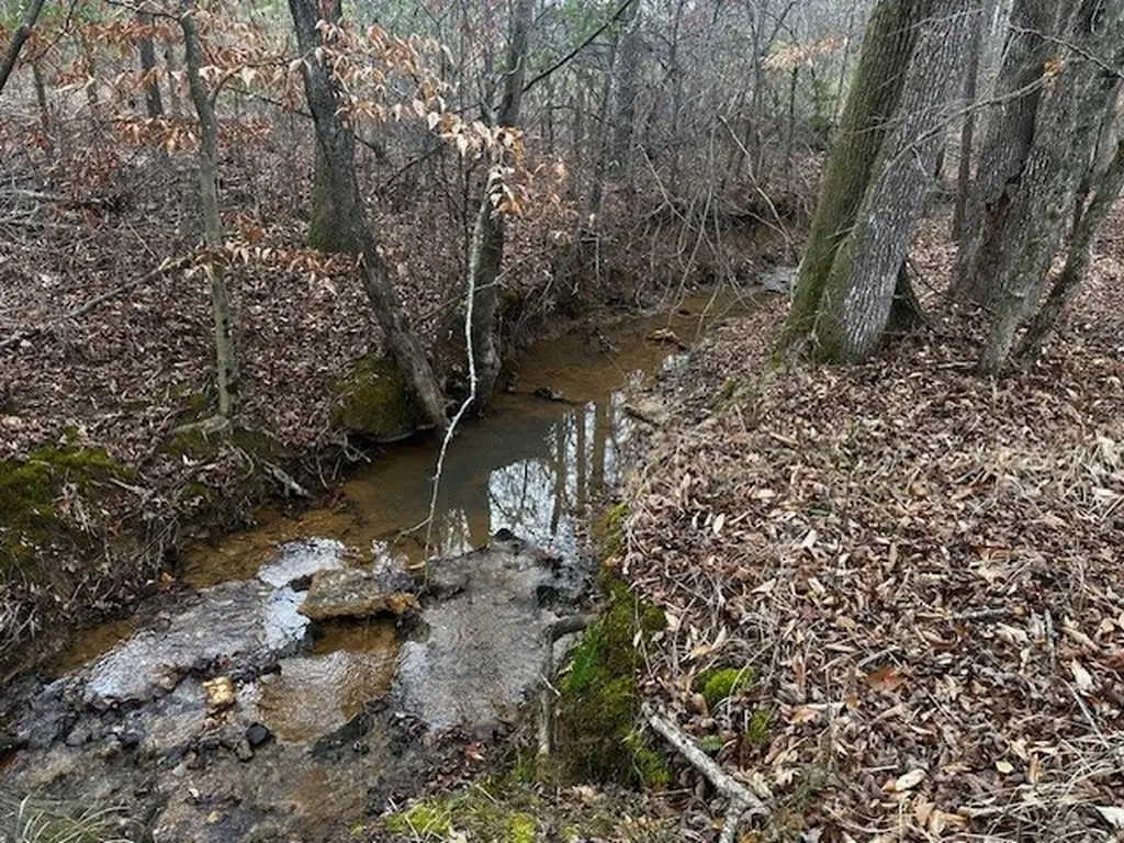 Coker Spur Road Red Bay AL 35582