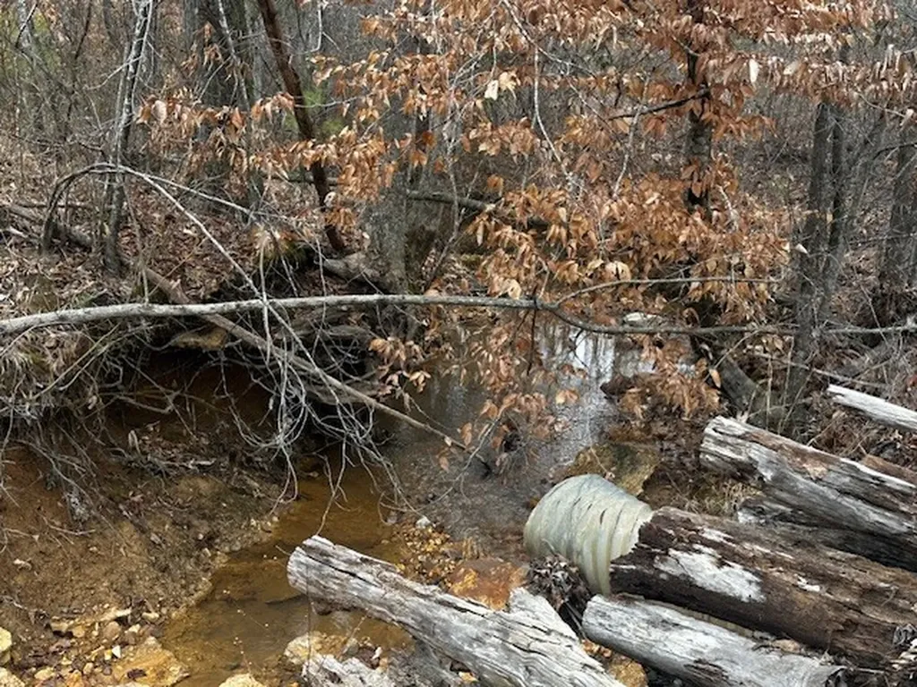 Coker Spur Road Red Bay AL 35582
