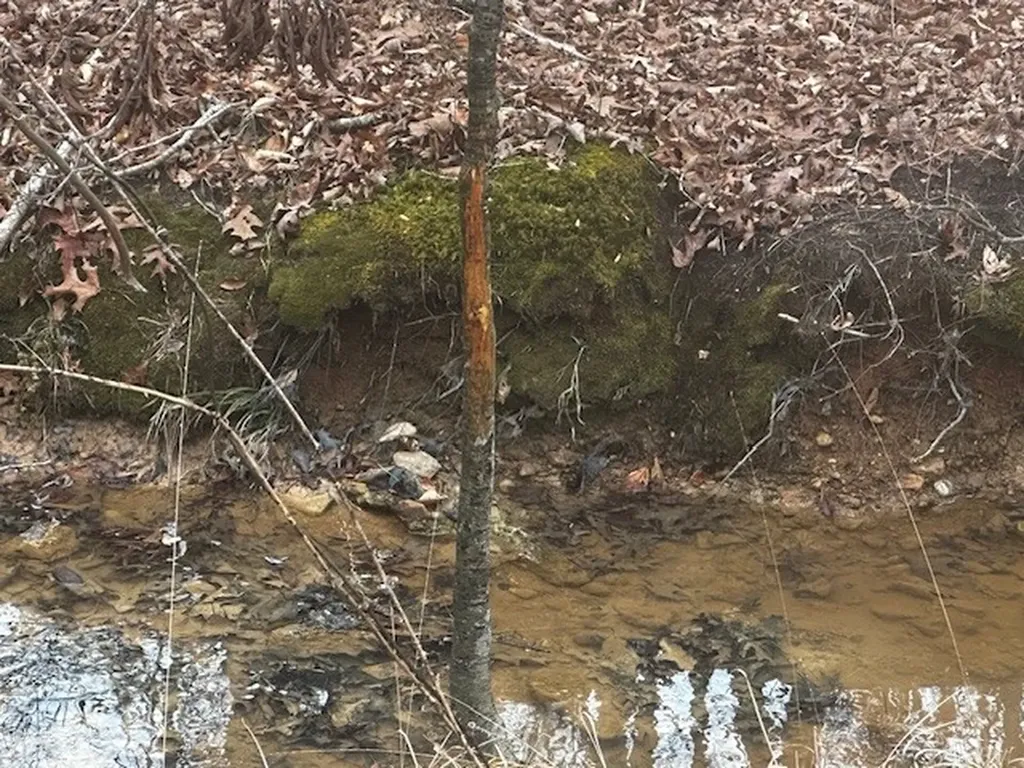 Coker Spur Road Red Bay AL 35582