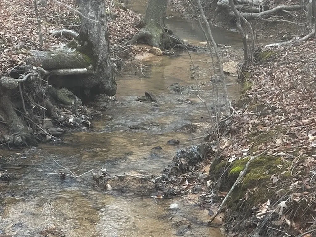 Coker Spur Road Red Bay AL 35582
