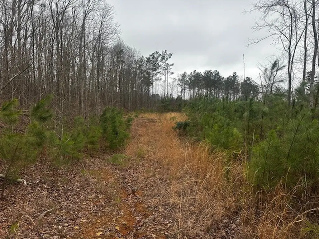 Coker Spur Road Red Bay AL 35582