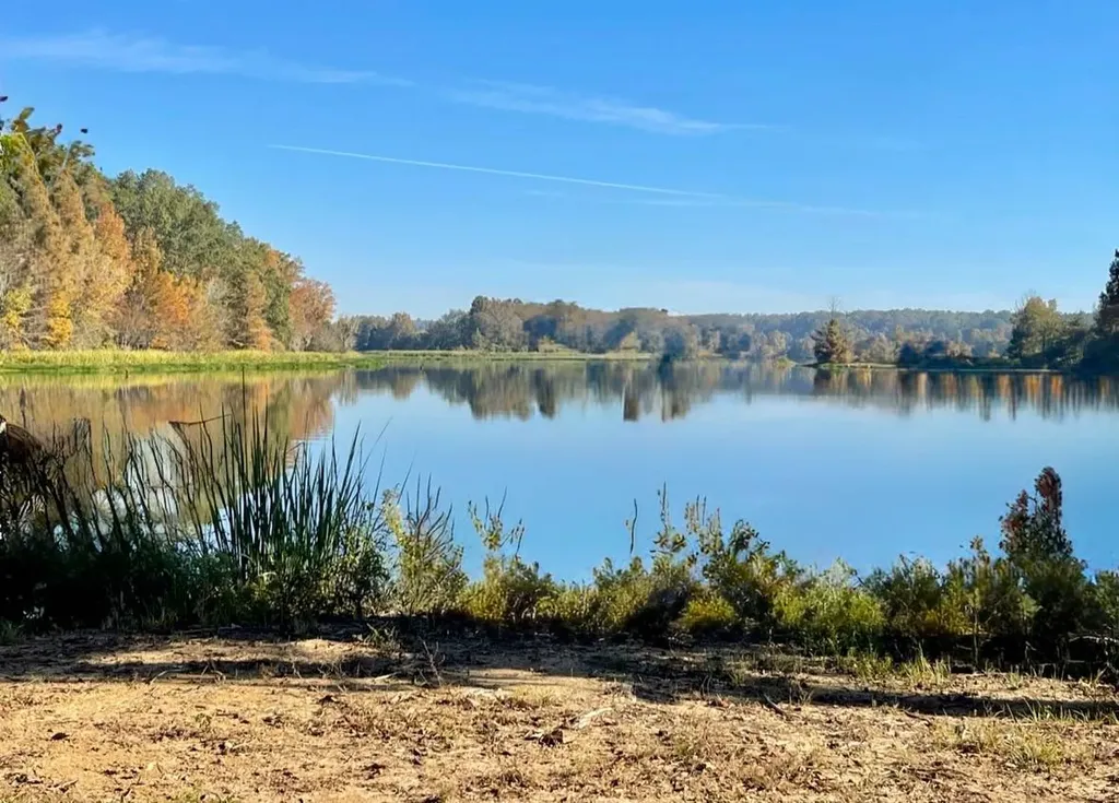 560 Jones River Road Camden AL 36726