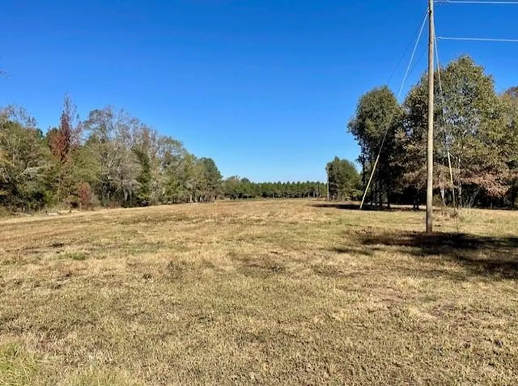 560 Jones River Road Camden AL 36726