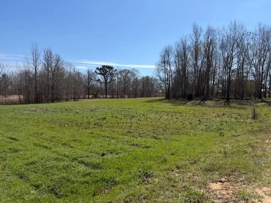 560 Jones River Road Camden AL 36726
