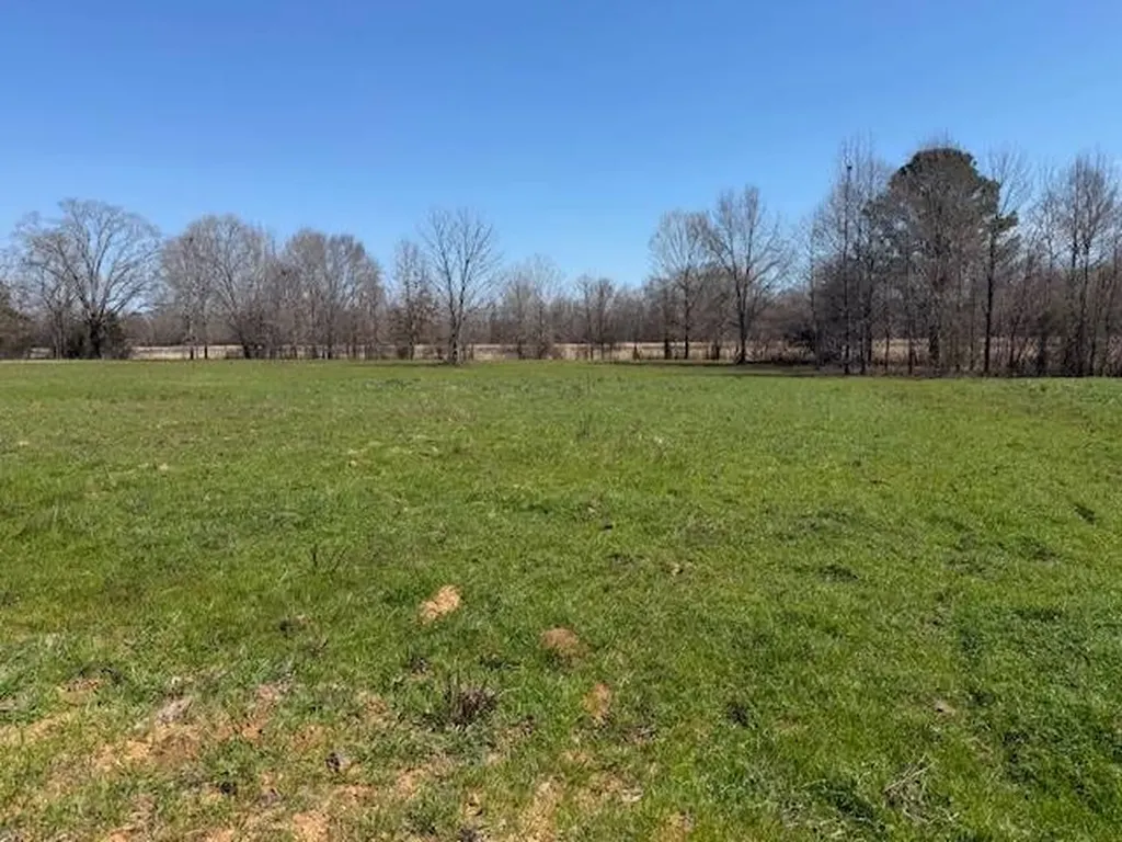 560 Jones River Road Camden AL 36726
