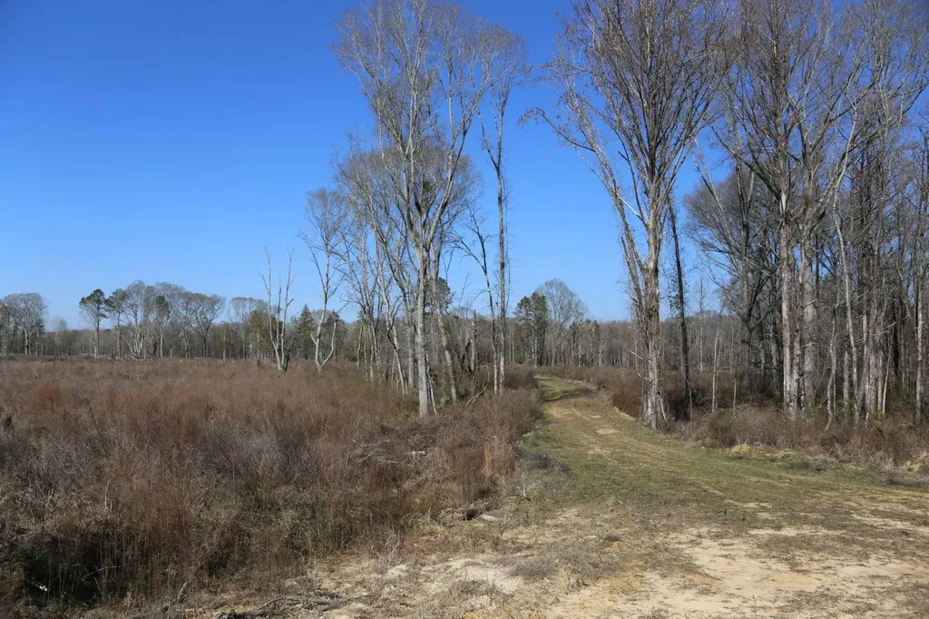 80 State Highway Montgomery AL 36108