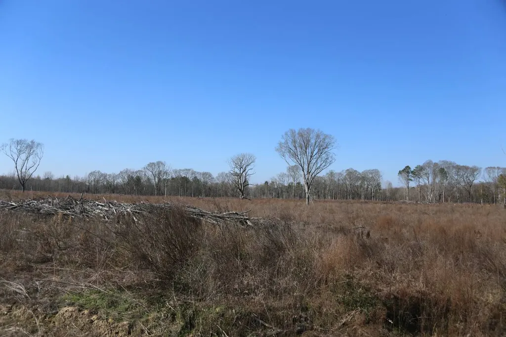 80 State Highway Montgomery AL 36108