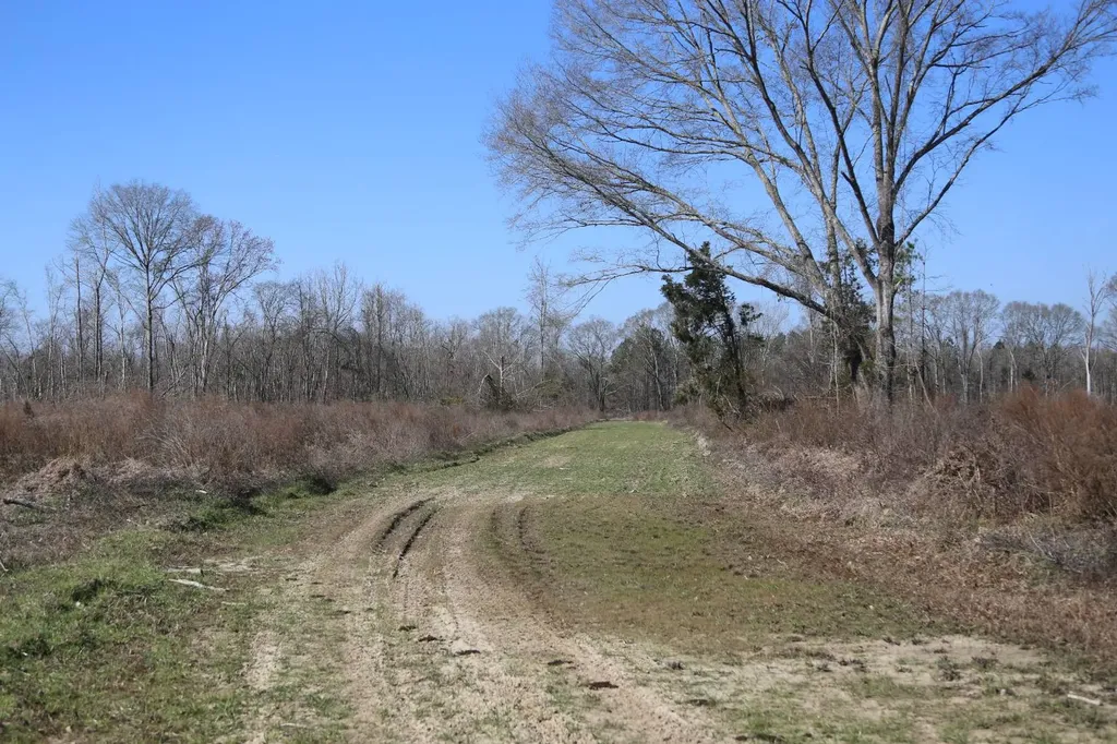 80 State Highway Montgomery AL 36108