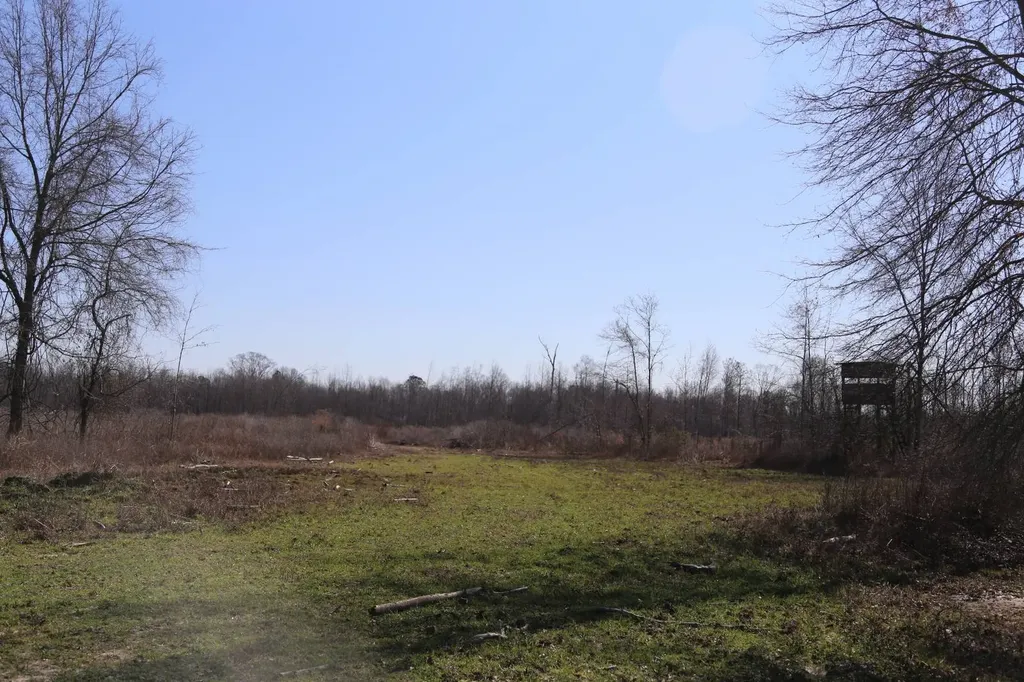 80 State Highway Montgomery AL 36108