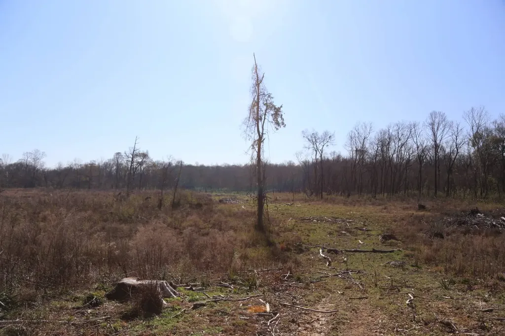 80 State Highway Montgomery AL 36108