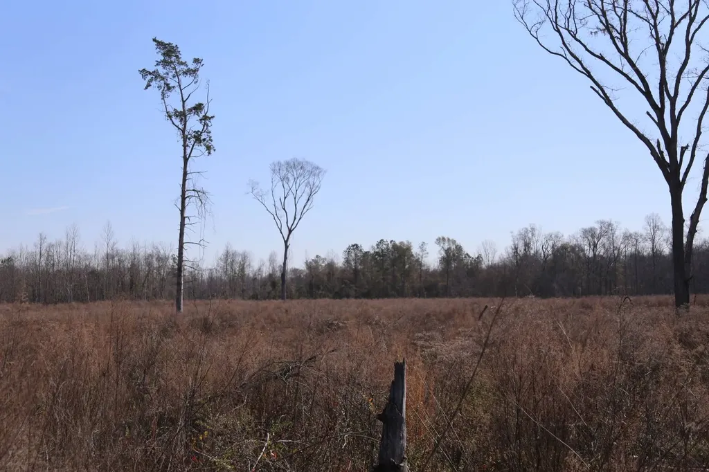 80 State Highway Montgomery AL 36108