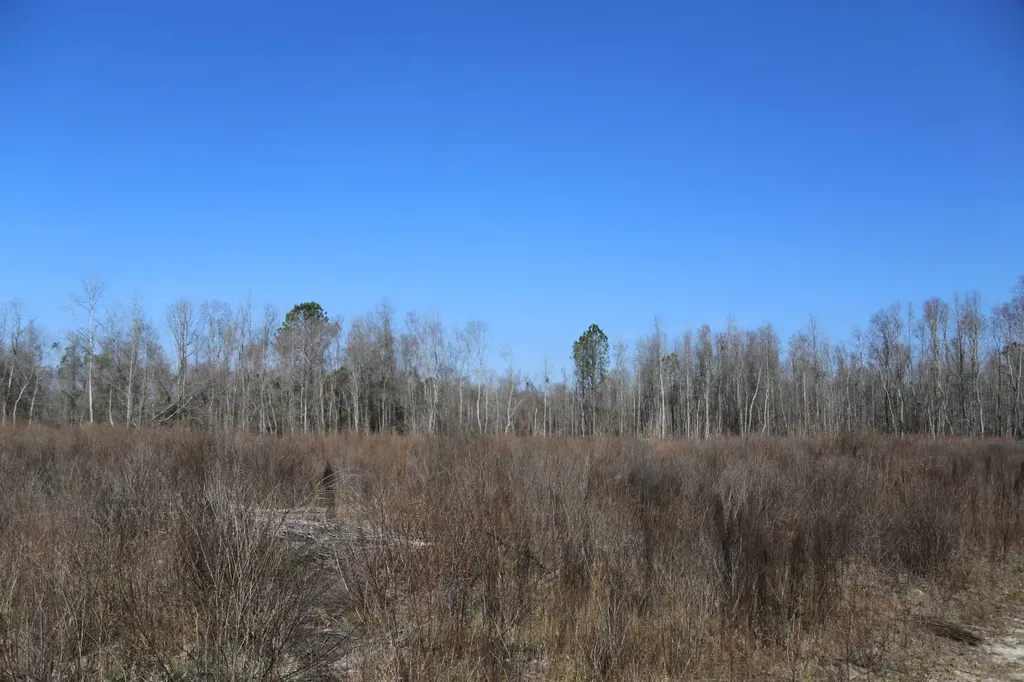 80 State Highway Montgomery AL 36108