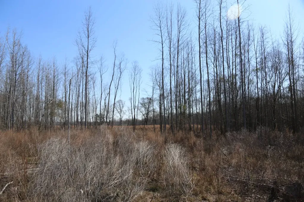 80 State Highway Montgomery AL 36108