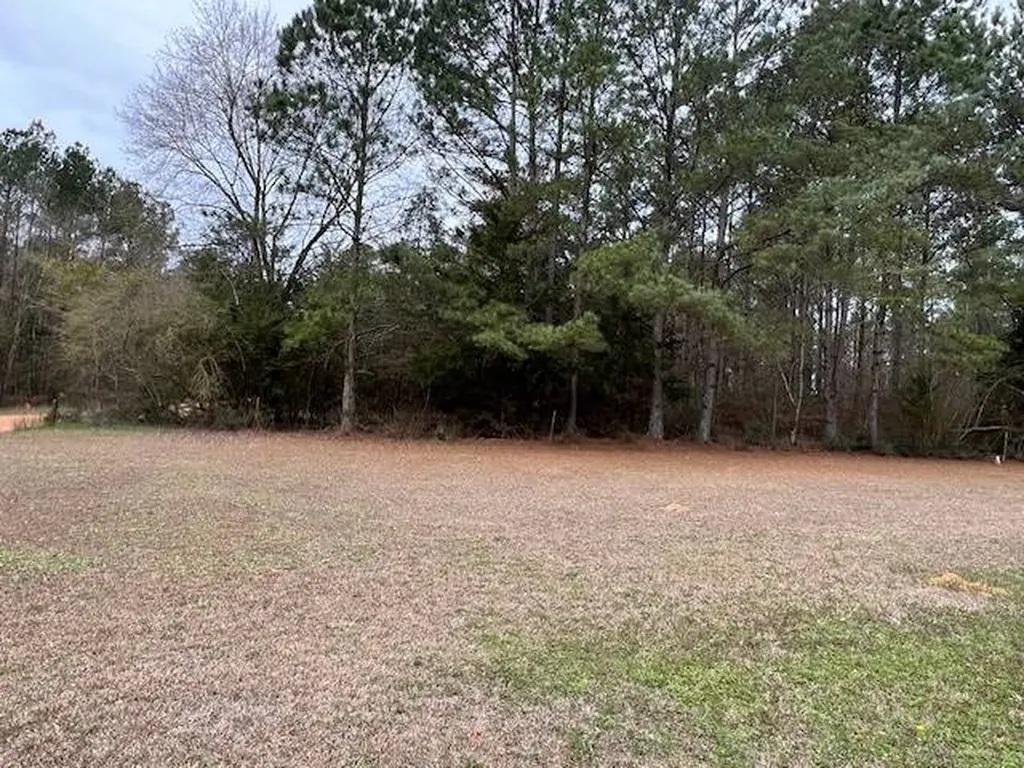 1499 Farrior Road Luverne AL 36049