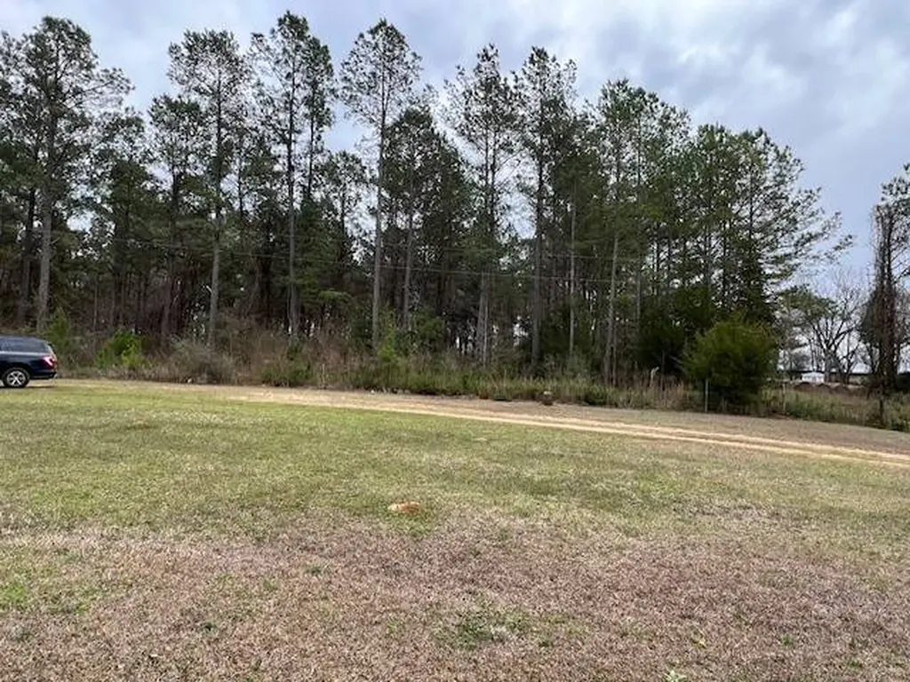 1499 Farrior Road Luverne AL 36049