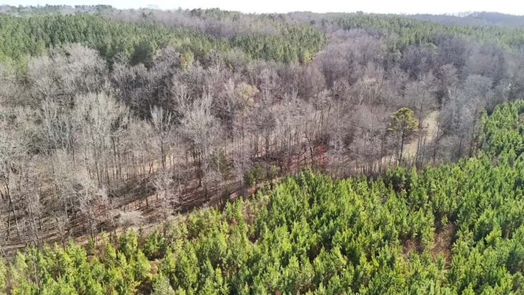 8598 Horseshoe Bend Road Dadeville AL 36853