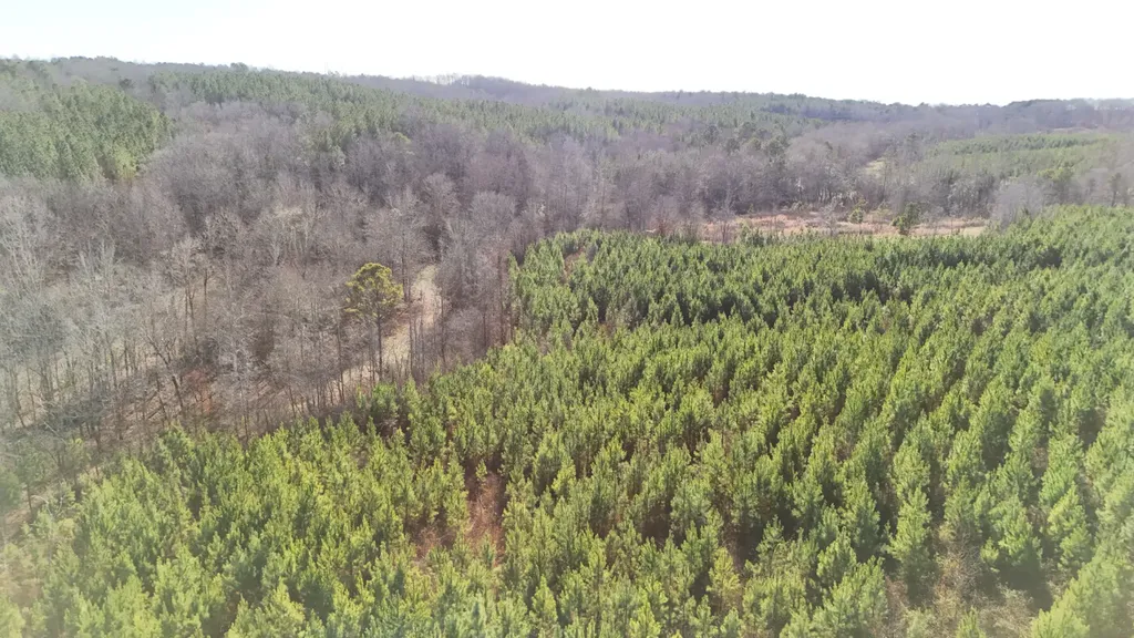 8598 Horseshoe Bend Road Dadeville AL 36853