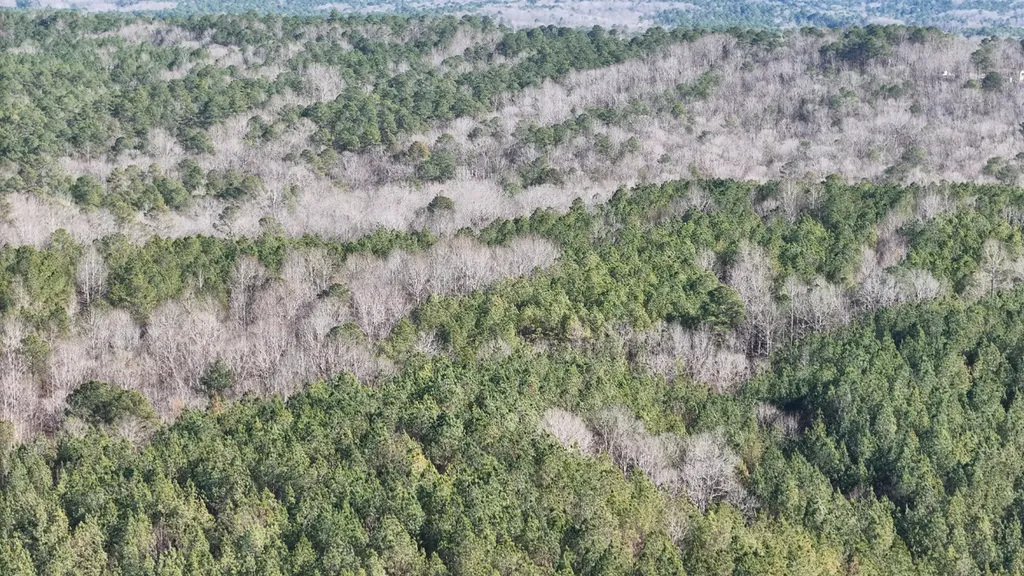 8598 Horseshoe Bend Road Dadeville AL 36853