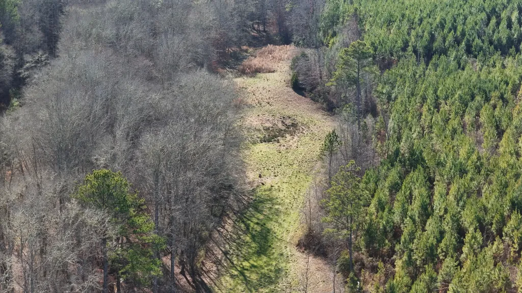 8598 Horseshoe Bend Road Dadeville AL 36853