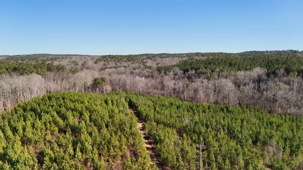8598 Horseshoe Bend Road Dadeville AL 36853