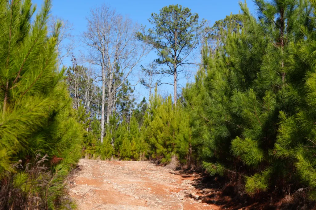 8598 Horseshoe Bend Road Dadeville AL 36853