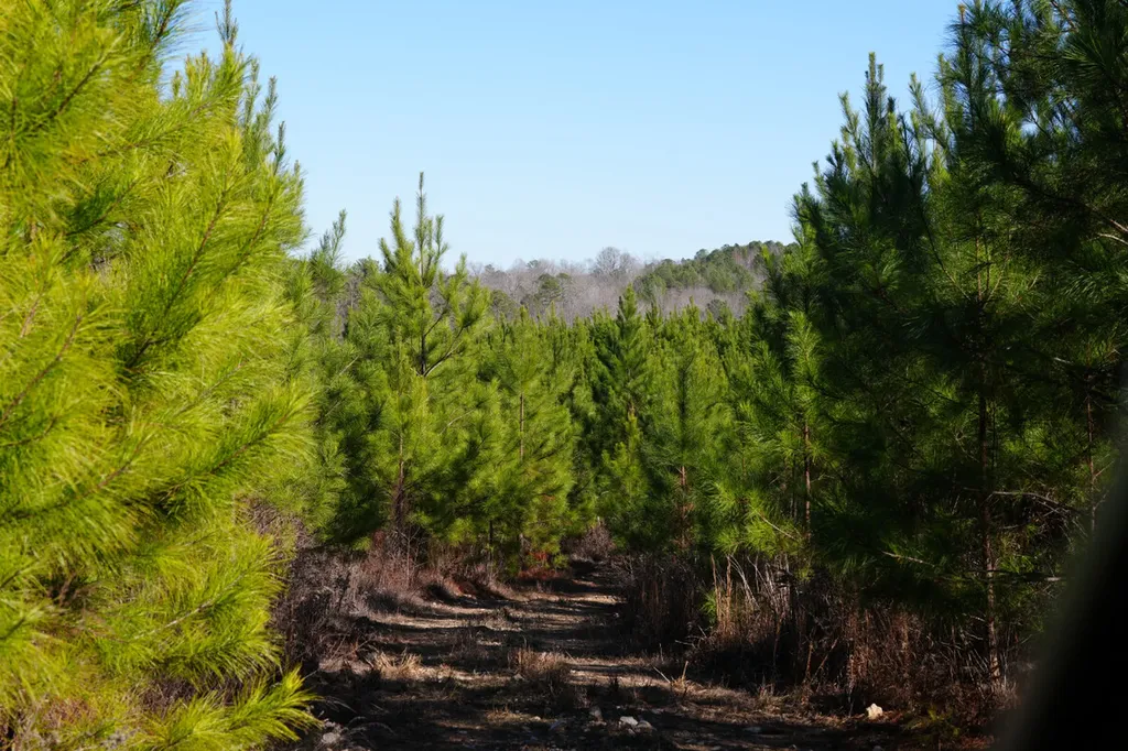 8598 Horseshoe Bend Road Dadeville AL 36853