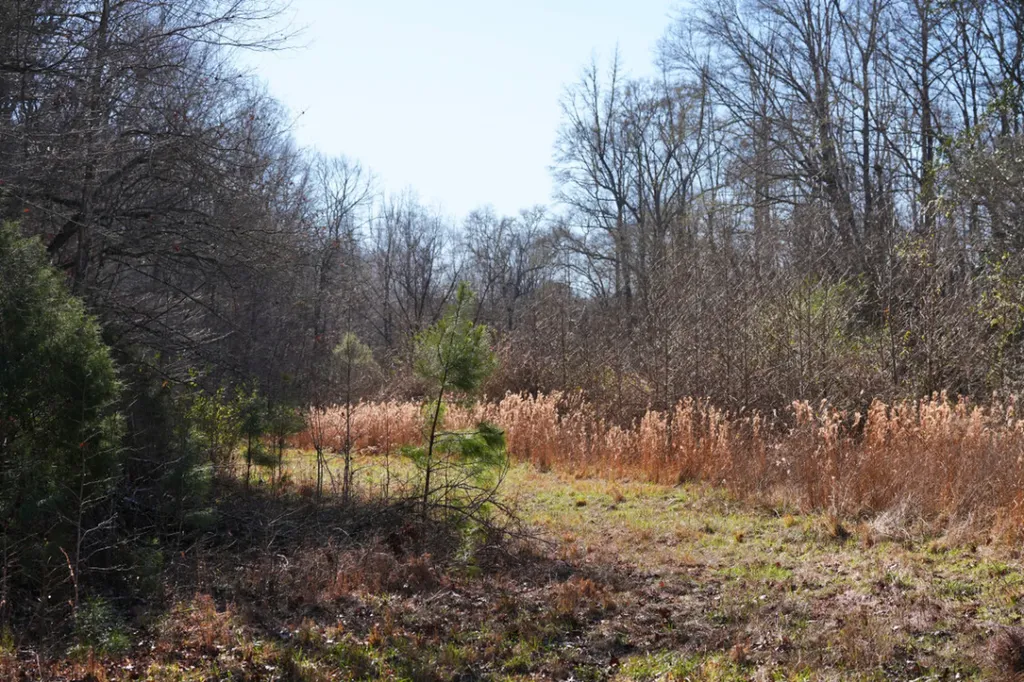 8598 Horseshoe Bend Road Dadeville AL 36853