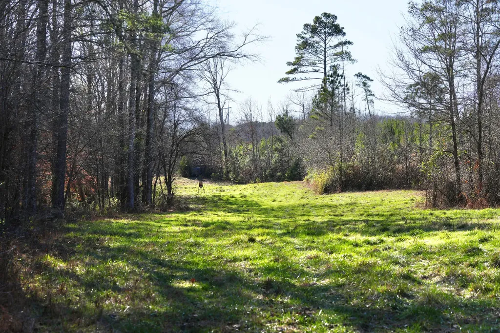 8598 Horseshoe Bend Road Dadeville AL 36853