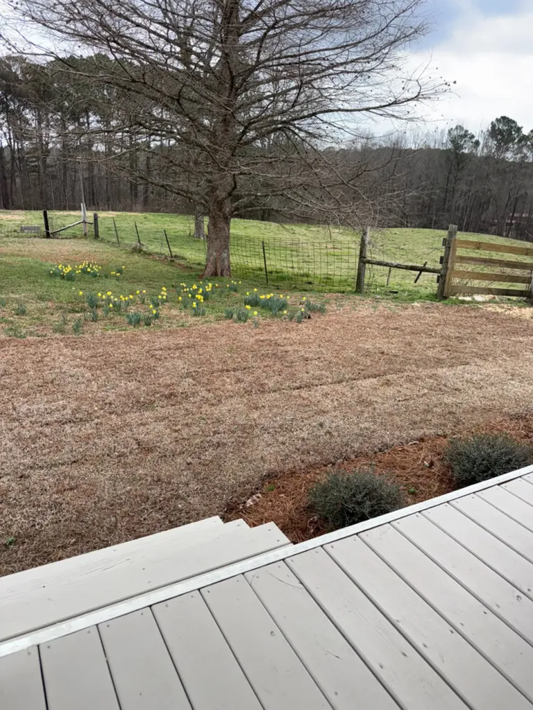 8598 Horseshoe Bend Road Dadeville AL 36853