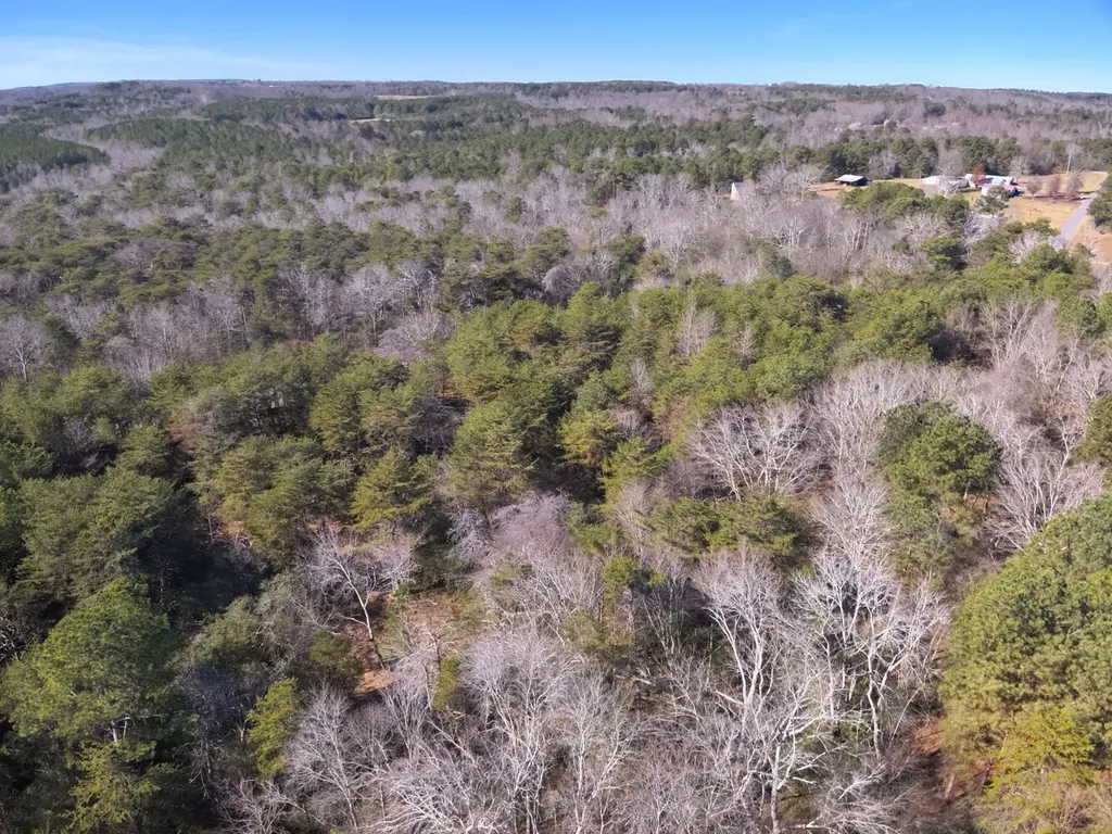 0 Co Road 53 Cedar Bluff AL 35959