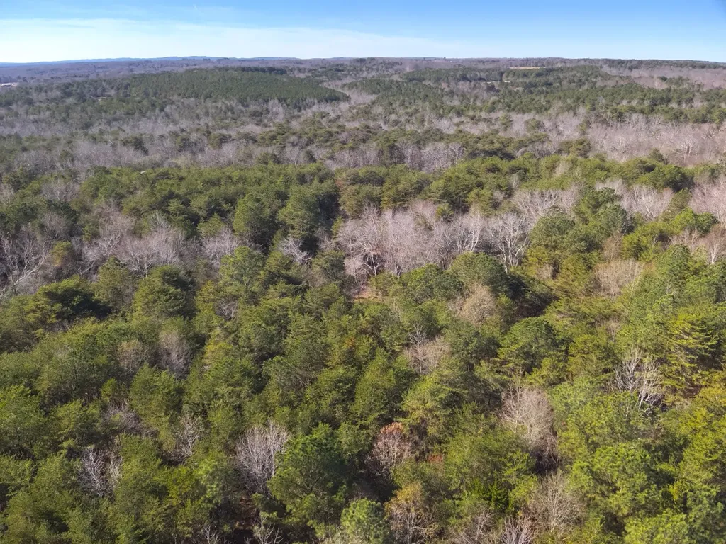 0 Co Road 53 Cedar Bluff AL 35959