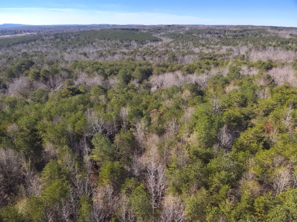 0 Co Road 53 Cedar Bluff AL 35959