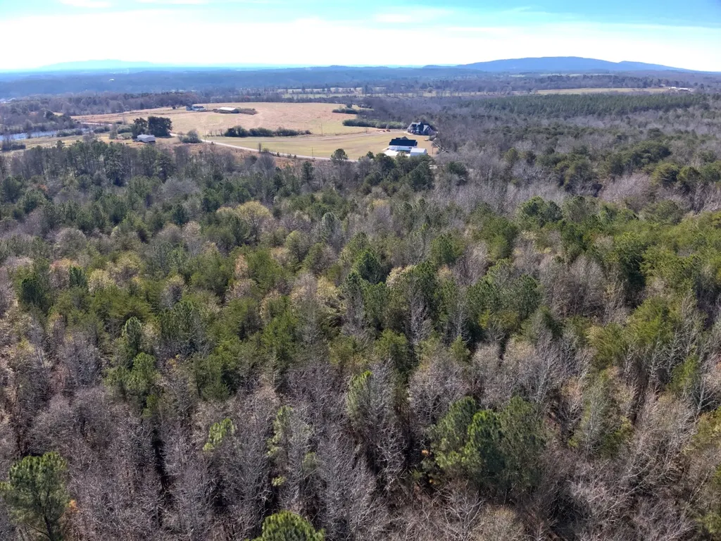 0 Co Road 53 Cedar Bluff AL 35959