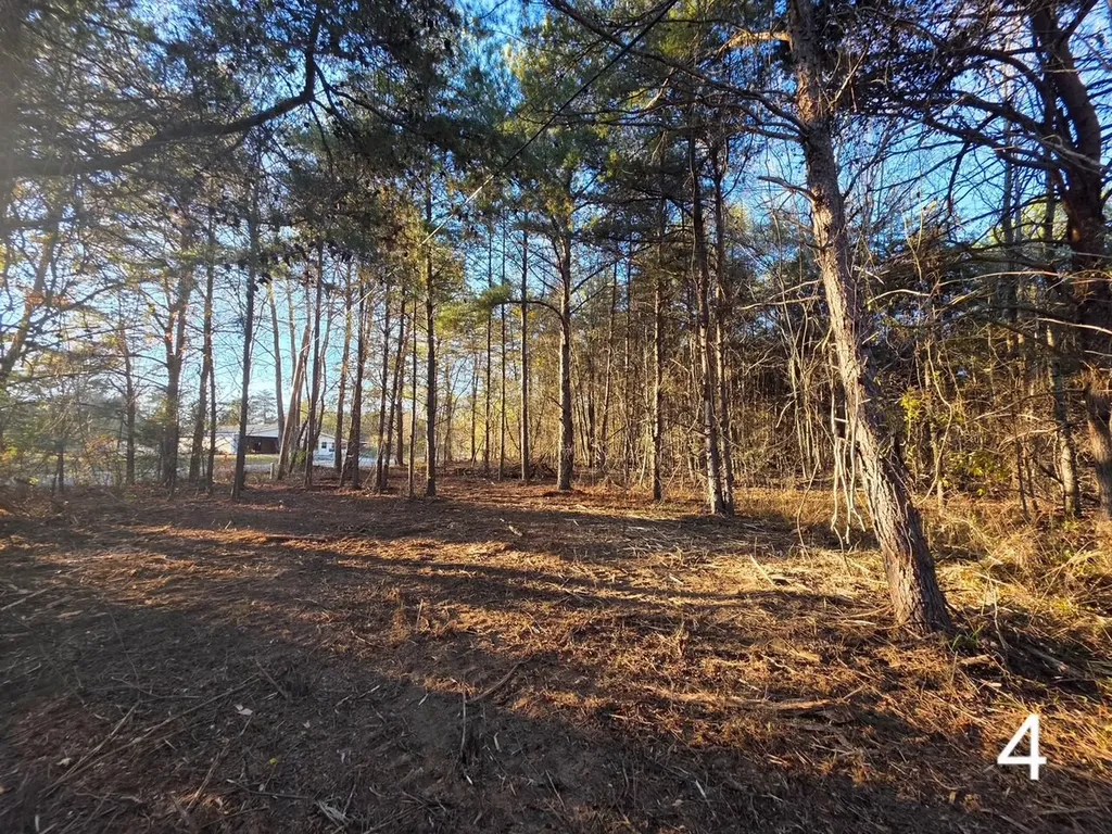 0 Co Road 53 Cedar Bluff AL 35959