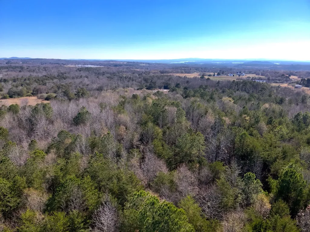 0 Co Road 53 Cedar Bluff AL 35959