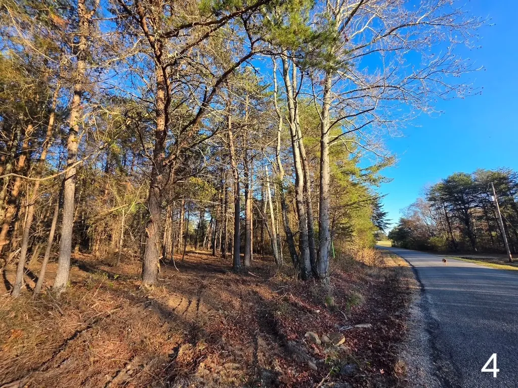 0 Co Road 53 Cedar Bluff AL 35959