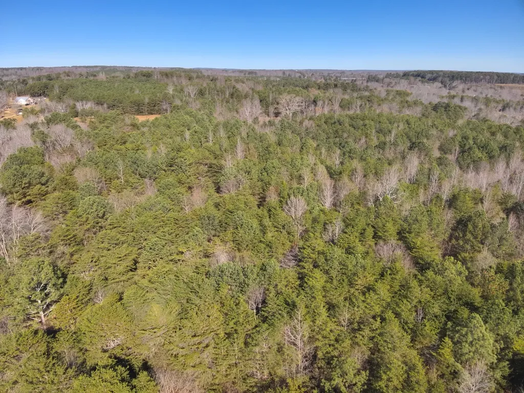 0 Co Road 53 Cedar Bluff AL 35959