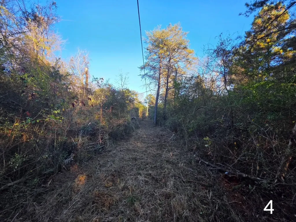 0 Co Road 53 Cedar Bluff AL 35959