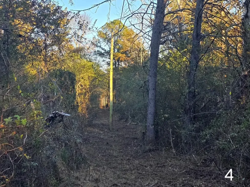 0 Co Road 53 Cedar Bluff AL 35959